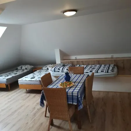 Vila Witke Homestay *
