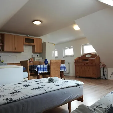Vila Witke Homestay